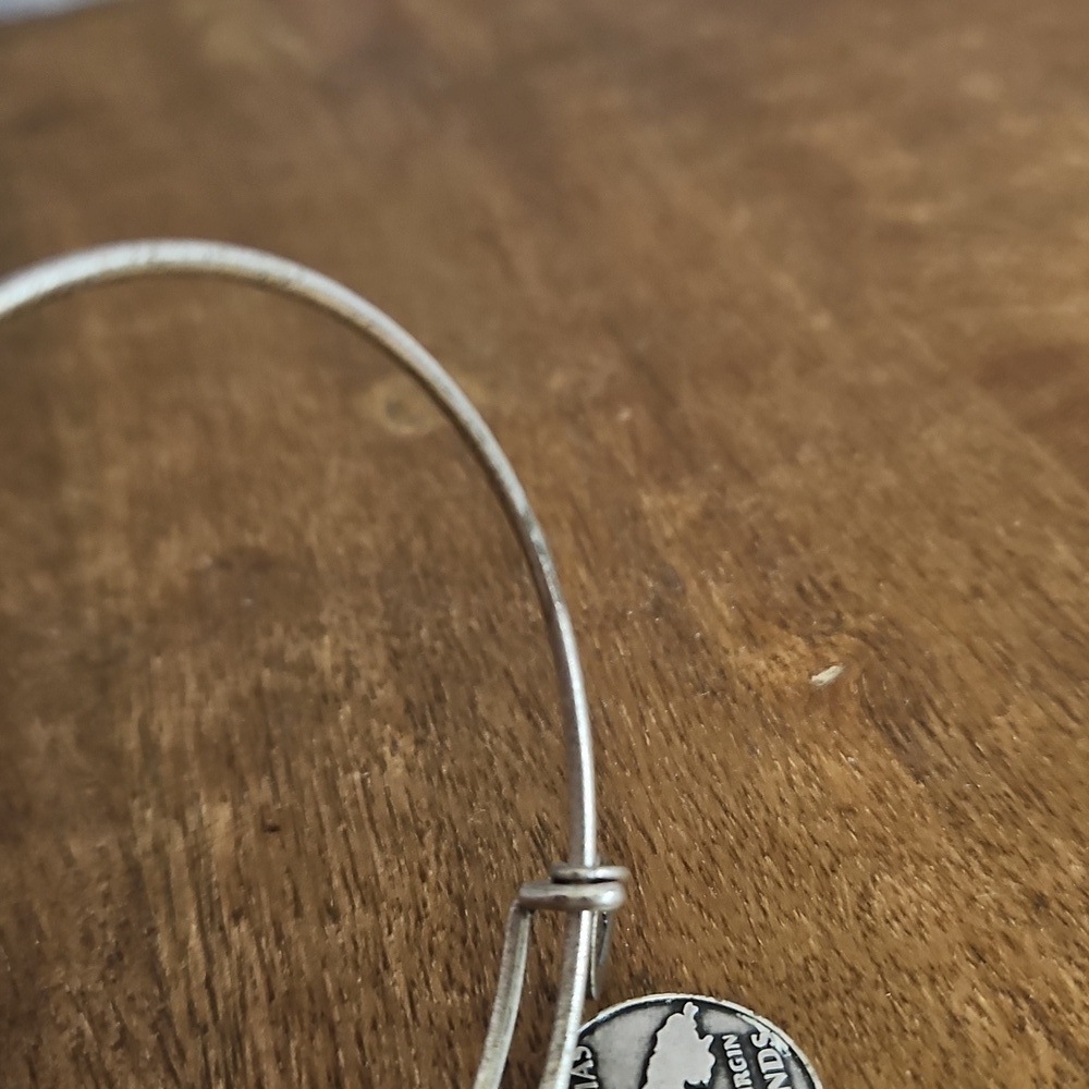 Alex & Ani Bangle Bracelet - Picture 4 of 4